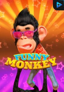 Funny Monkey